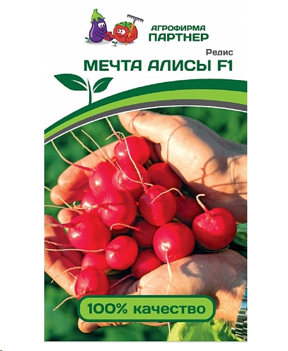 Редис мечта алисы описание сорта фото отзывы
