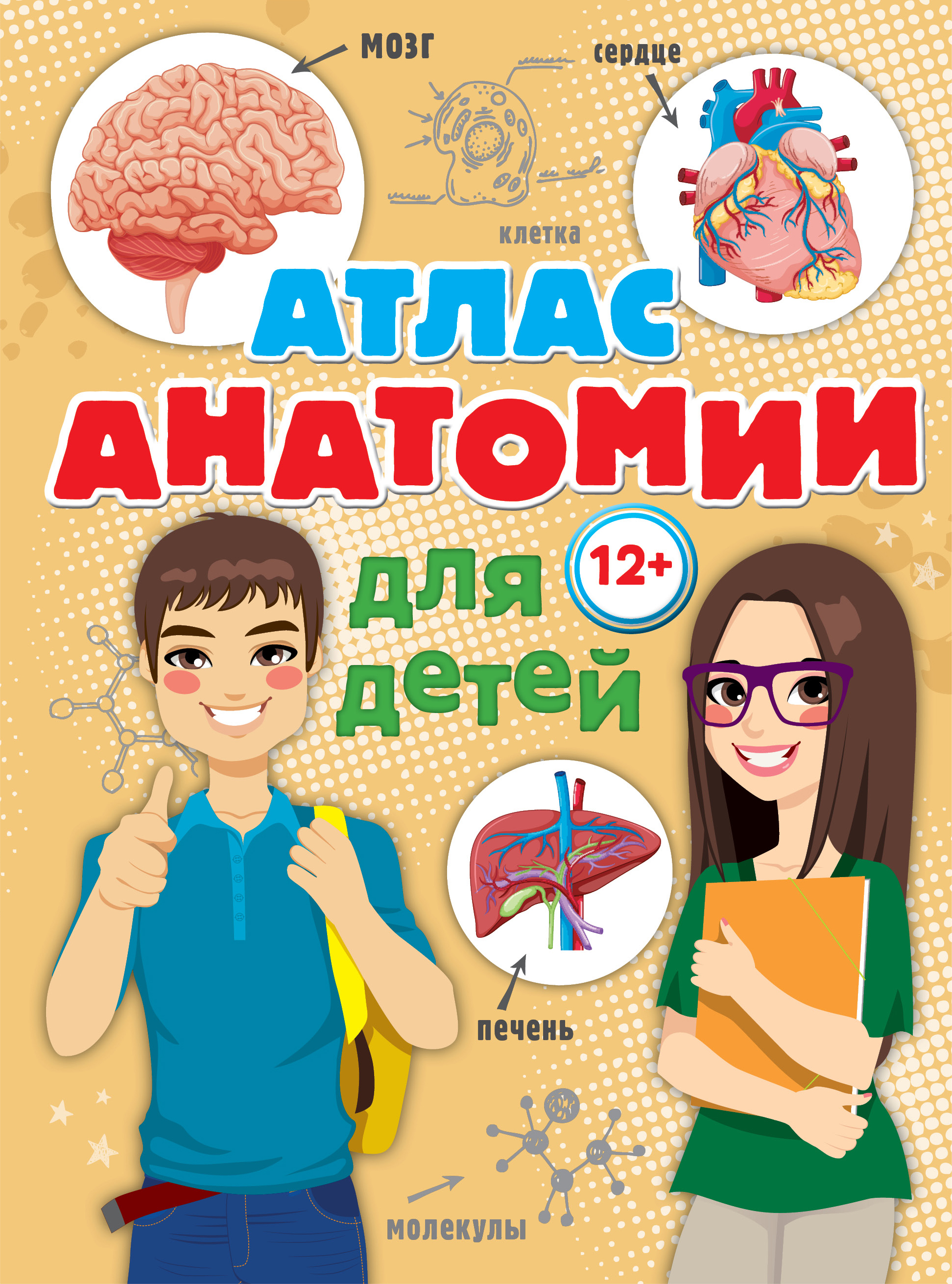 Купить Энциклопедия Анатомия Человека