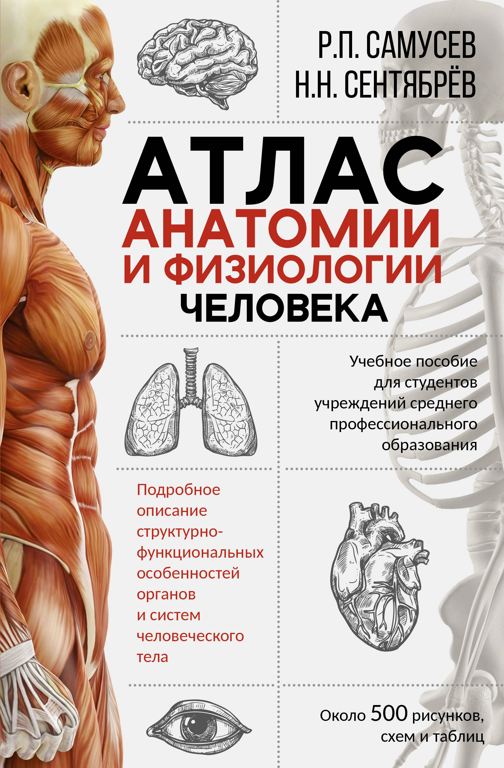 Книги по анатомии. Самусев атлас анатомии. Атлас анатомии и физиологии человека Самусев Сентябрев. Атлас анатомия человека р.п Самусев. Самусев атлас анатомии человека 2020.